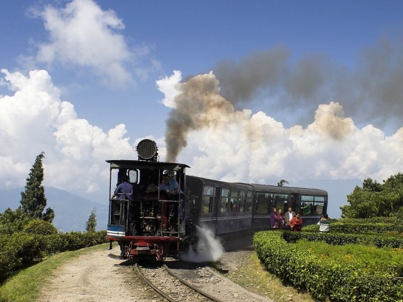 Darjeeling Tour